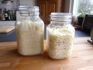 sauerkraut